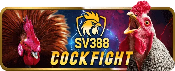 Ưu tiên rút tiền nhanh chóng cho VIP tv88 22 vip